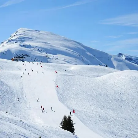 Chalet Alpaka 2*