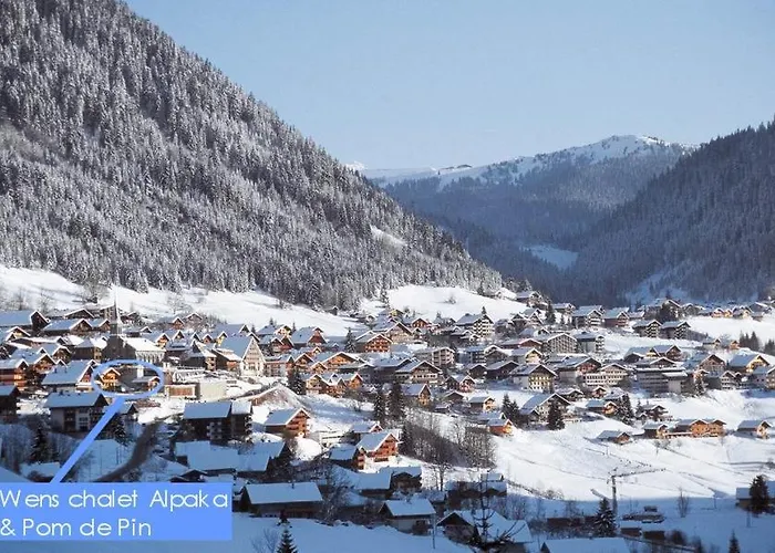 Alpaka